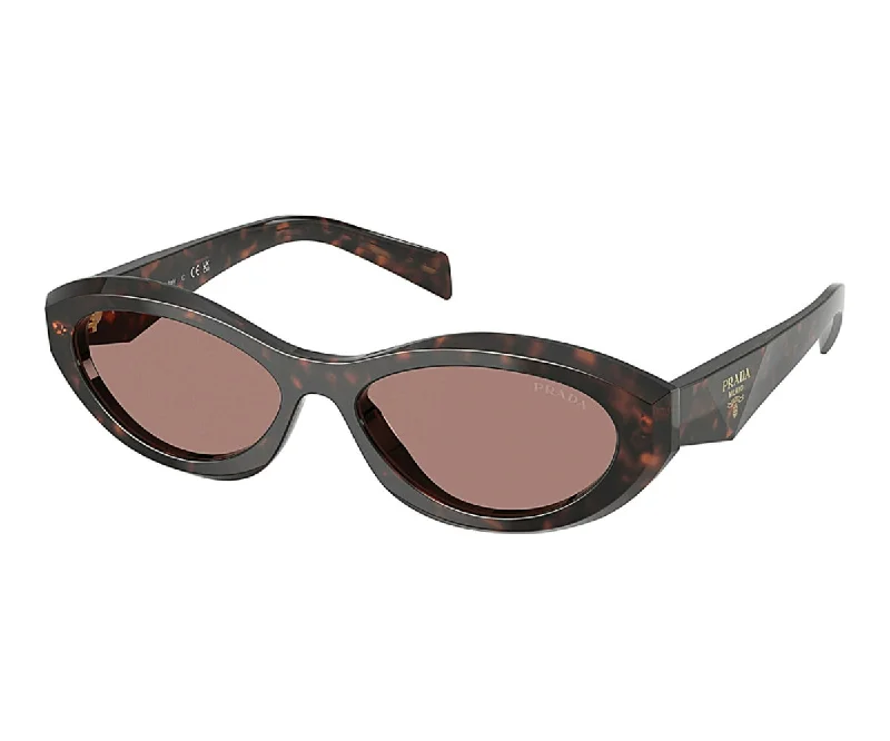 modern cat-eye sunglasses-26ZS 17N/60B 55