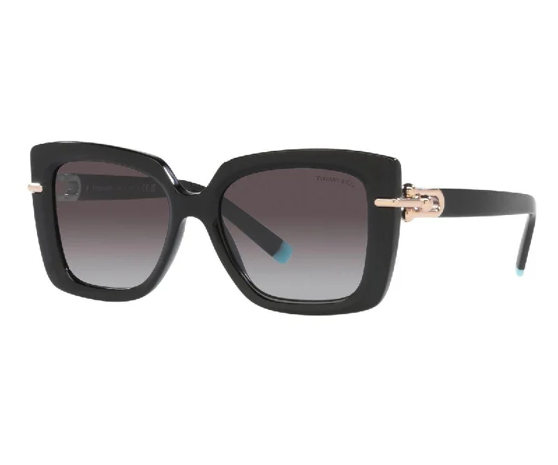 retro black sunglasses-4199 8001/3C 53